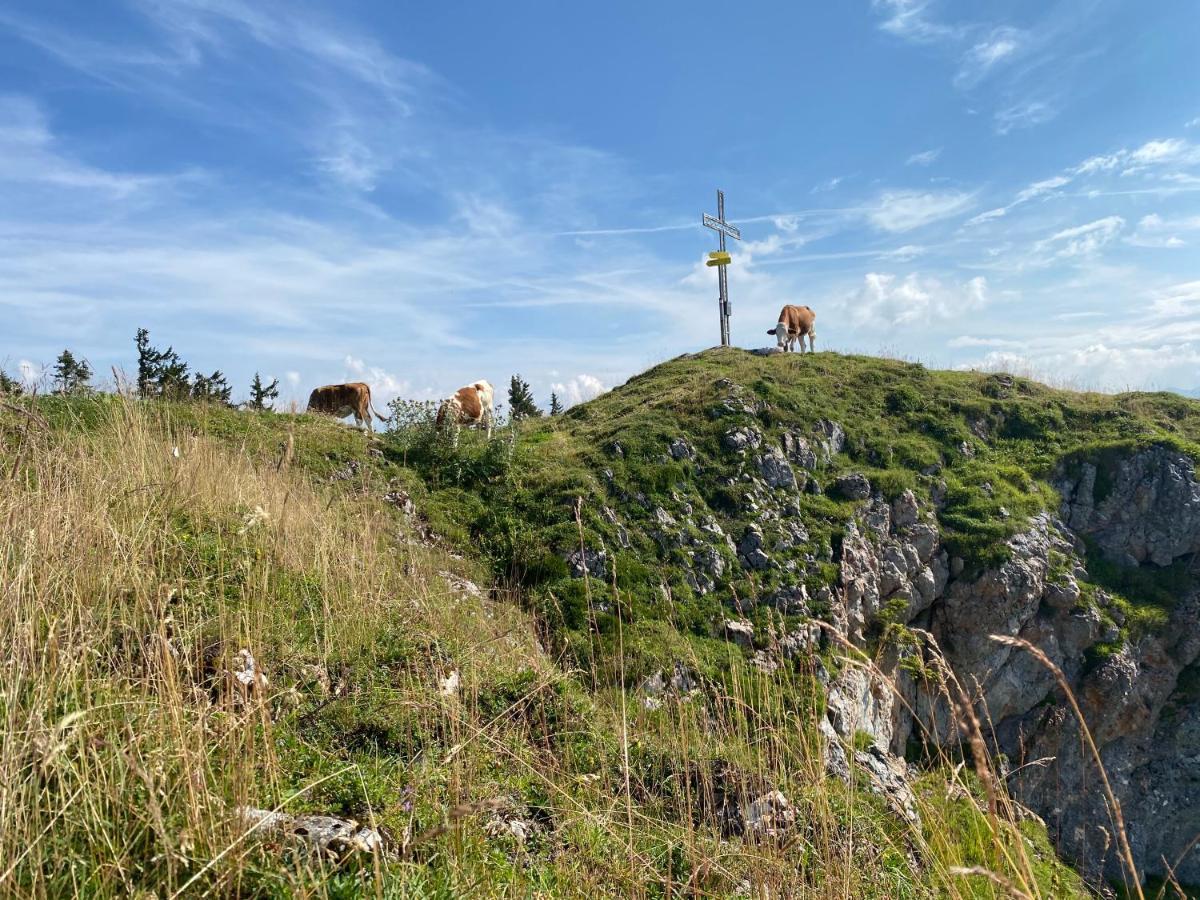 Гостьовий будинок Obersdorfer Hof Бад-Міттерндорф Екстер'єр фото